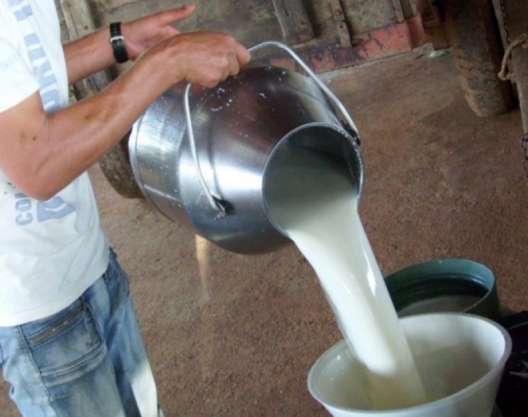 Emater busca soluções para leite produzido em São Borja