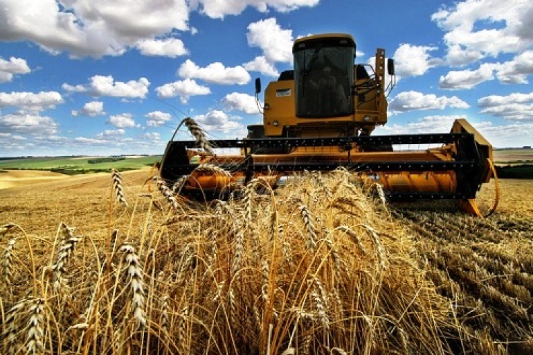 Governo reduz ICMS do trigo para todo o país