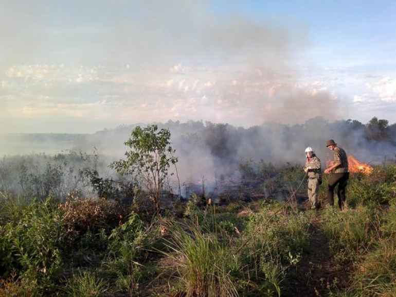 Registros de fogo em campos, lixos e vegetação preocupam os bombeiros