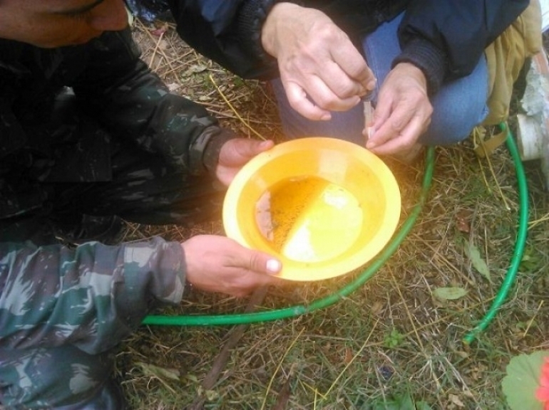 São Borja está em situação de alto risco devido a proliferação do Aedes Aegypti