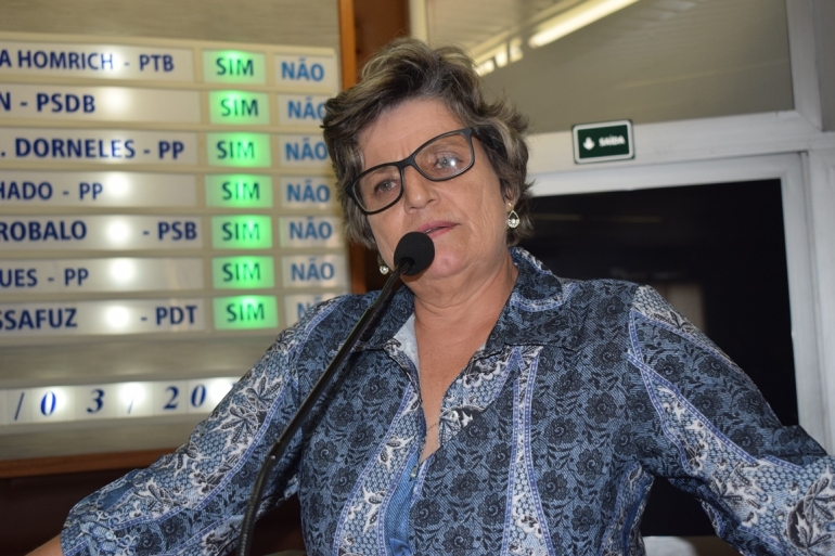 Sandra Marques é uma das vozes da saúde na Câmara