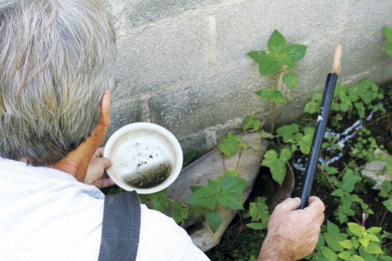 Vigilância Sanitária divulga dados elevados de focos de mosquito aedes aegypti em 2019